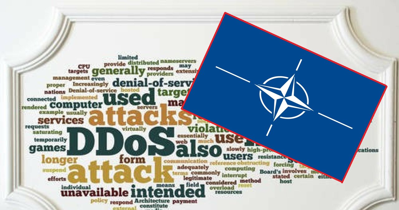 NATO celem ataków hakerskich /East News /East News