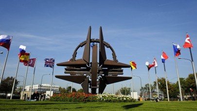 NATO. Co wiesz o tej organizacji [QUIZ]