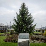 NATO ma dwie choinki. Co symbolizują świąteczne drzewka? 