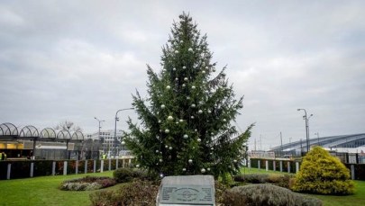 NATO ma dwie choinki. Co symbolizują świąteczne drzewka? 