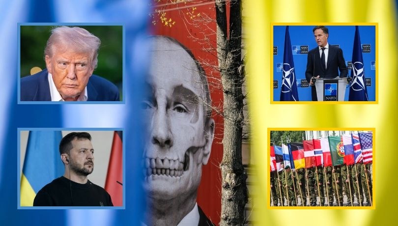 NATO podnosi poprzeczkę: 5 procent PKB na obronność. Co dalej po szczycie w Hadze? /Shutterstock