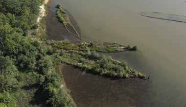 Natura uwielbia wraki wojenne. Niezwykłe odkrycie w Bałtyku