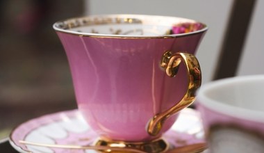 Naturalna bomba multiwitaminowa na wiosenne przesilenie. Nasze babcie uwielbiały jej owoce