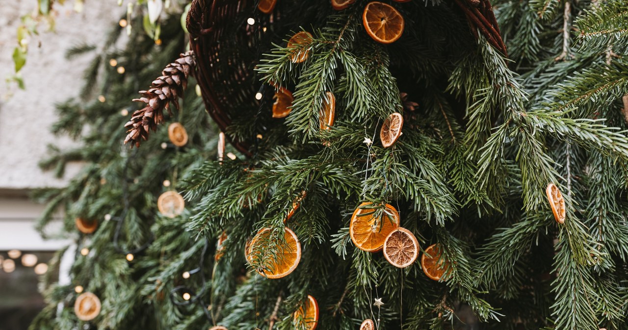 Naturalna ozdoba, którą zrobisz samodzielnie w domu. Jest łatwa i niedroga w wykonaniu /Pixel