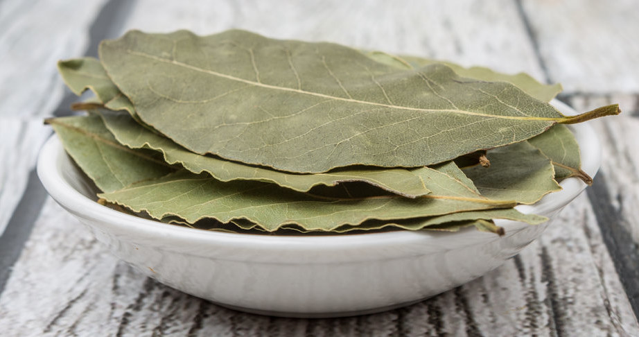 Naturalne olejki eteryczne zawarte w liściach laurowych są źródłem silnego i intensywnego aromatu skutecznie odstraszającego owady. /123RF/PICSEL