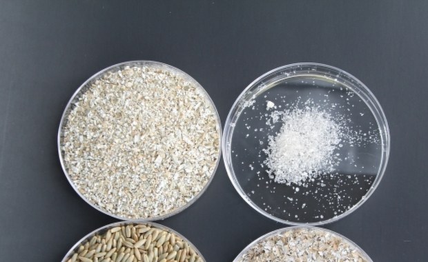 Naturalne przeciwutleniacze w otrębach