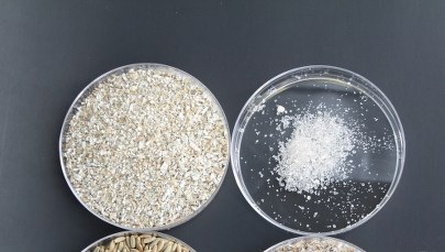 Naturalne przeciwutleniacze w otrębach