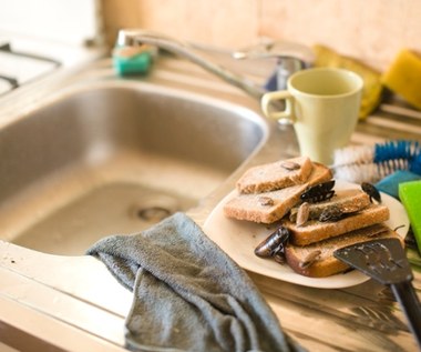 Naturalne sposoby na pozbycie się szkodników