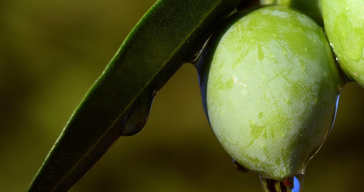 Натуральний екстракт, який утворюється в процесі відділення олії від м'якоті оливки називається "темна вода"- це новий тренд у здоровому харчуванні