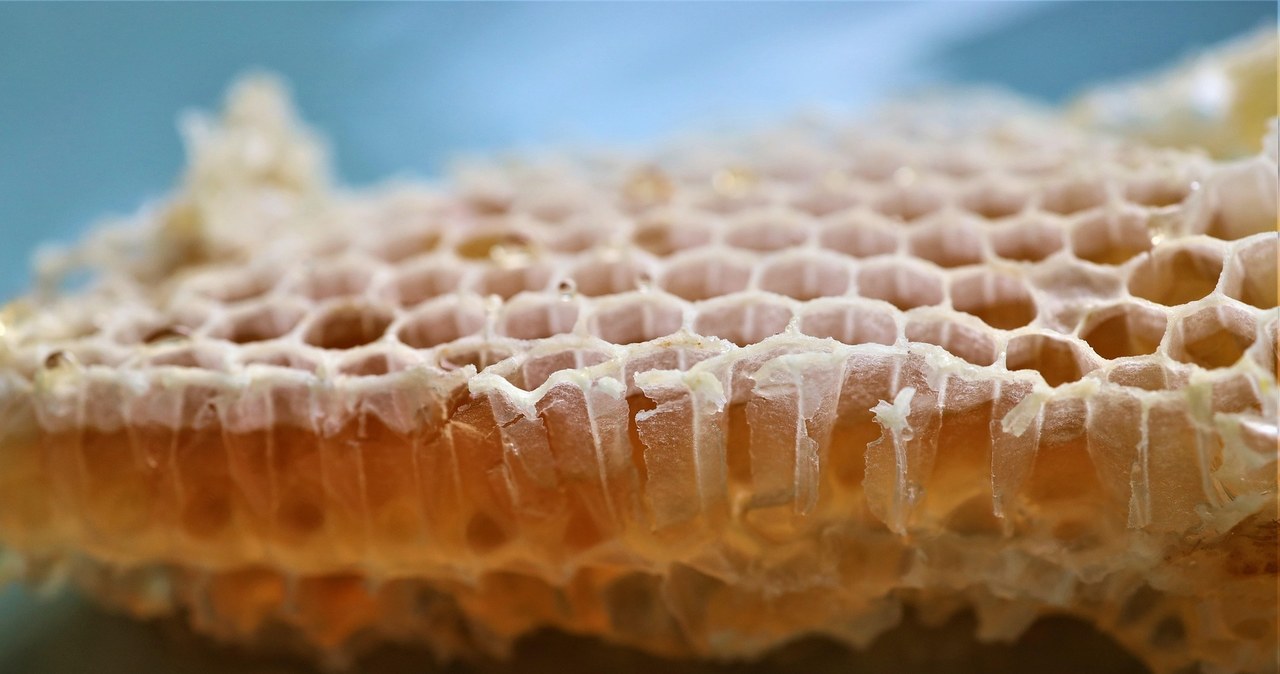 Naturalny wosk pszczeli pozyskuje się z plastrów miodu /AlteWaldhexe /Pixabay.com