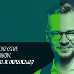 Nature Restoration Law. 19 krajów z 27 popiera to prawo. Polska ma decydujący głos ws. przyrody