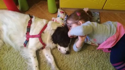 Nauczyciel na czterech łapach, łapkach, a nawet kopytach!