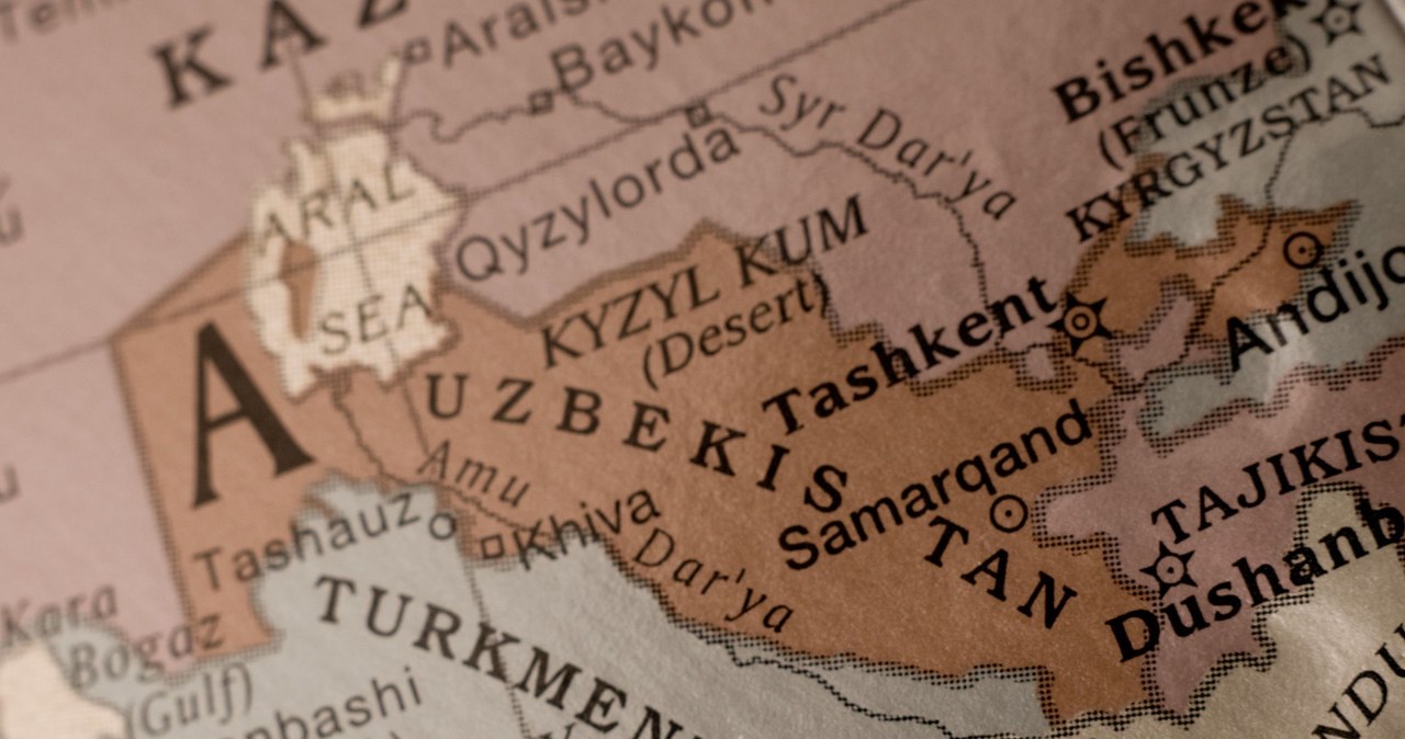 Nauczyciele w Uzbekistanie dostają pensje w kurczętach... /123RF/PICSEL