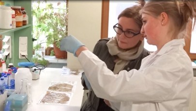 Nauki ścisłe nie takie straszne. Gdzie jest białko? Zobacz eksperyment