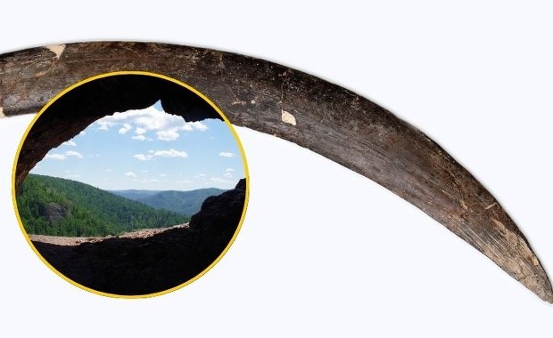 Naukowa rewelacja. Najstarszy bumerang świata znaleziony w Polsce?