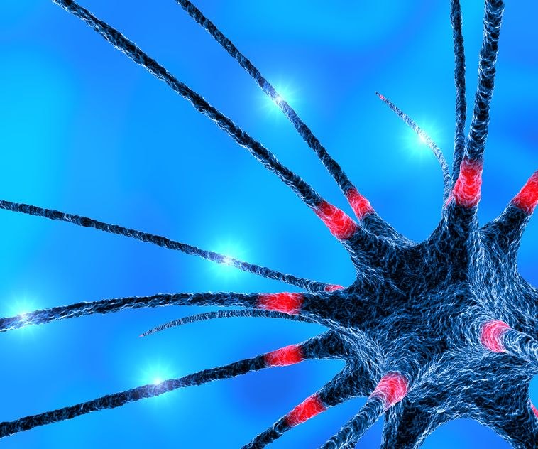 Naukowcom udało się stworzyć sztuczny neuron /123RF/PICSEL