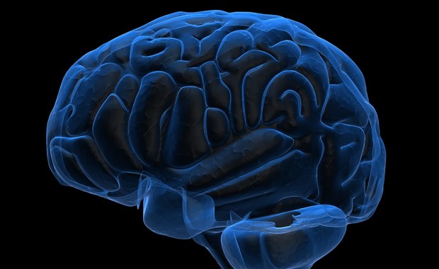 Naukowcy alarmują: Koronawirus może atakować mózg