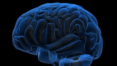 Naukowcy alarmują: Koronawirus może atakować mózg