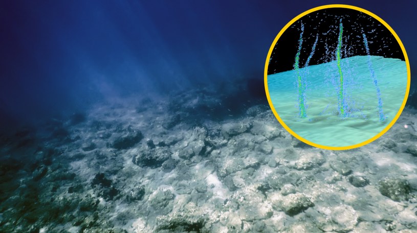 Naukowcy, badając dno morskie, natrafili na tajemniczy wyciek — ciecz jest chemicznie różna od wody morskiej/Twitter: IFLScience credit: Brendan T. Philipet al. Fluid sources and overpressures within the central Cascadia Subduction Zone revealed by a warm, high-flux seafloor seep. Sci. Adv.9, eadd6688(2023)/123RF/PICSEL