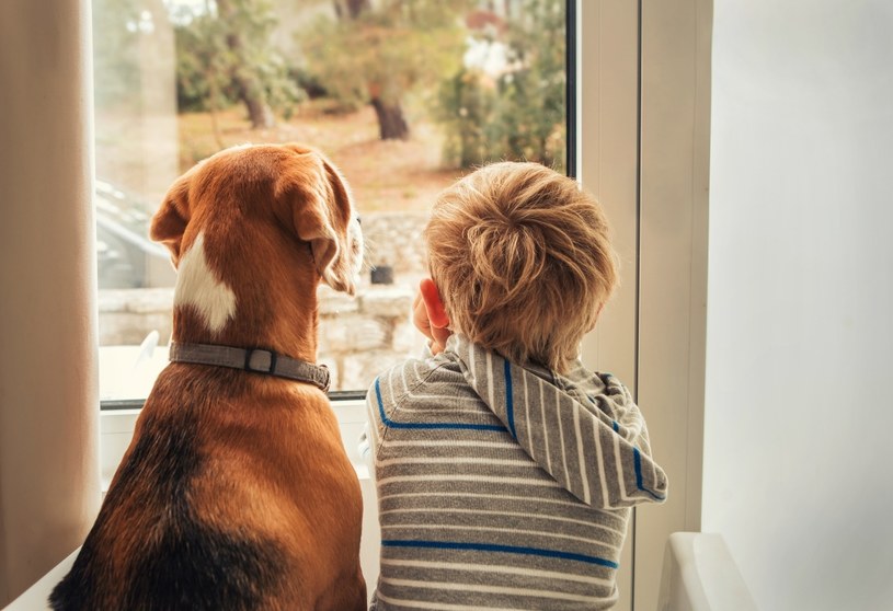 Naukowcy badali wpływ posiadania psa na zdrowie dzieci /123RF/PICSEL