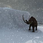 Naukowcy chcą sklonować mamuta