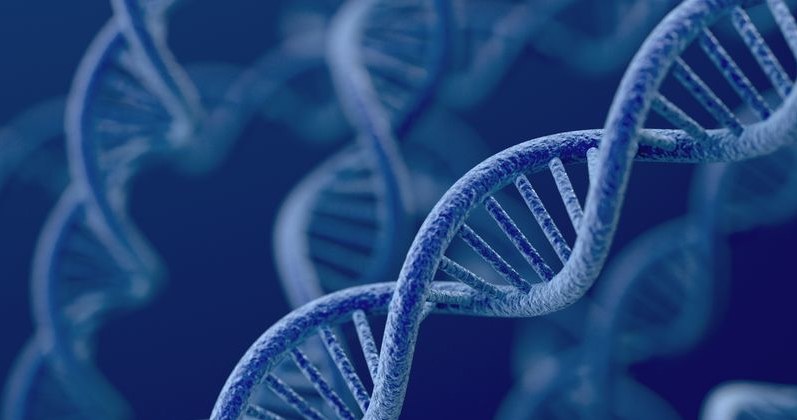 Naukowcy chcą wykorzystać specjalną technikę genetyczną, która pozwoli edytować ludzkie DNA /123RF/PICSEL