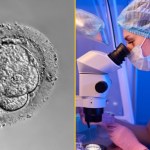 Naukowcy dokonali przełomu? Stworzono coś, co uważano za niemożliwe