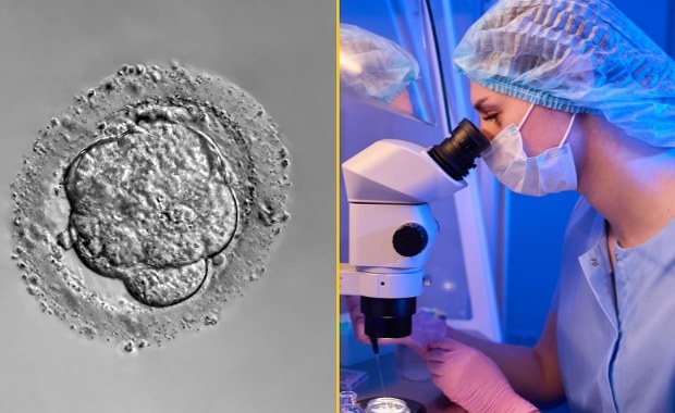 Naukowcy dokonali przełomu? Stworzono coś, co uważano za niemożliwe