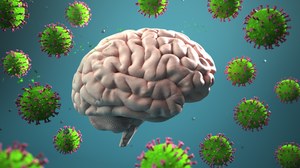 Naukowcy donoszą o nowych informacjach dotyczących wirusa COVID-19 znalezionego w mózgu