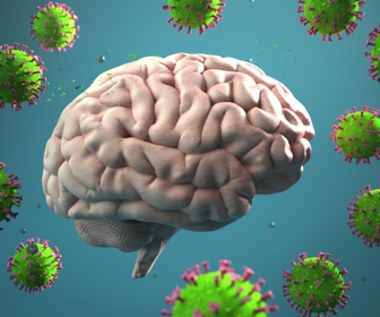 Naukowcy donoszą o nowych informacjach dotyczących wirusa COVID-19 znalezionego w mózgu