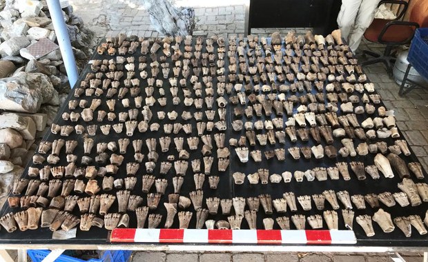 Naukowcy dowiedli, że już Rzymianie hodowali małe buldogi