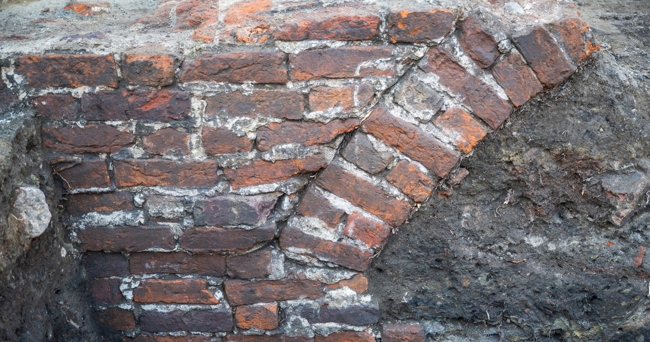 Naukowcy dowiedzą się więcej na temat odkryć dzięki datowaniu oraz dalszym wykopaliskom. /PAP/Tytus Żmijewski /PAP