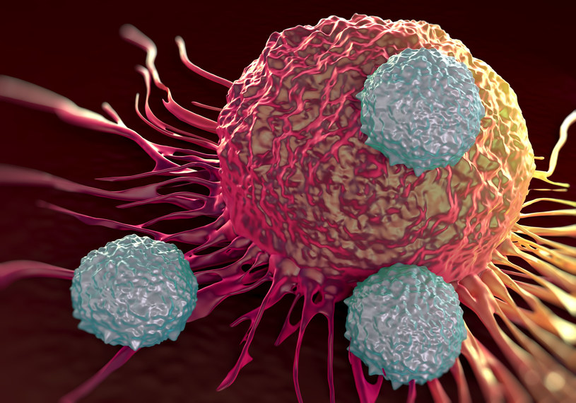 Naukowcy mają coraz to nowsze sposoby walki z nowotworami /123RF/PICSEL