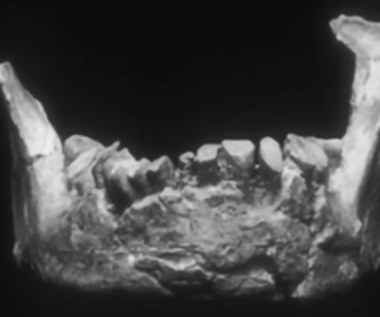Naukowcy mogli odkryć najstarsze szczątki człowieka w Europie