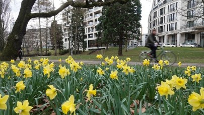 Naukowcy obliczyli, ile czasu Brytyjczycy poświęcają rozmowie o pogodzie