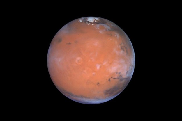 Naukowcy od dawna podejrzewają, że pod powierzchnią Marsa może być woda /Steve Lee, Univ. Colorado/Jim Bell, Cornell Univ./Mike Wolff, SSI/NASA /Materiały prasowe