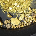 Naukowcy odkryli bakterie produkujące złoto