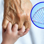 Naukowcy odkryli „gen długowieczności”. Cofa wiek serca o 10 lat