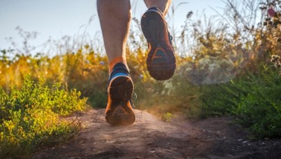Naukowcy odkryli jak ruch fizyczny wspiera mózg 