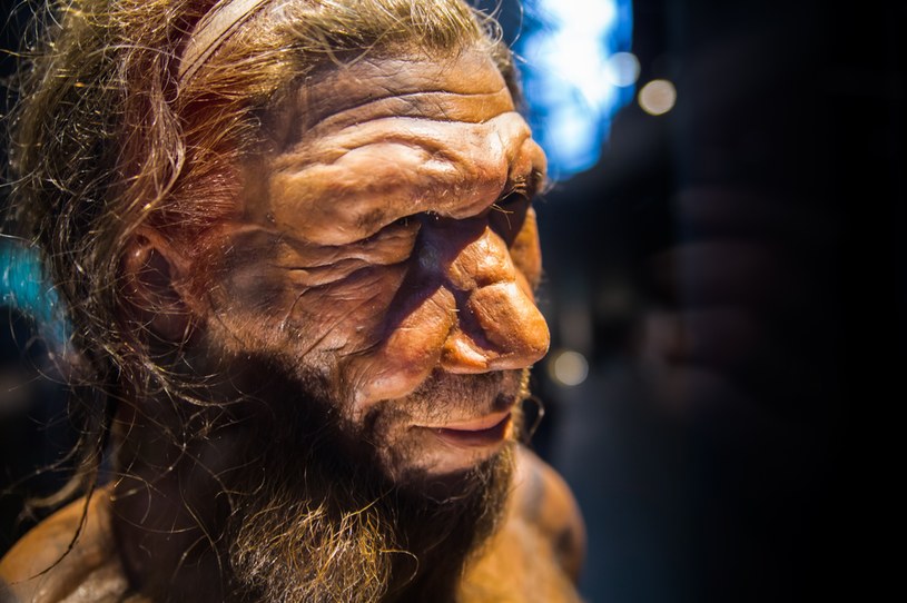 Naukowcy odkryli kolejną tajemnicę dotyczącą zachowania neandertalczyków /123RF/PICSEL