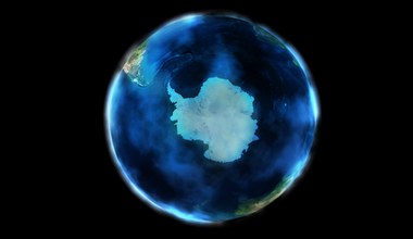 Naukowcy odkryli na Antarktydzie starożytne DNA sprzed miliona lat