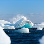 Naukowcy odkryli niespodziewane formy życia pod antarktycznym szelfem lodowym
