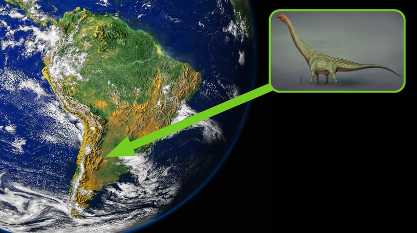 Naukowcy odkryli nowy gatunek tytanozaura. Jego kość udowa jest większa od człowieka