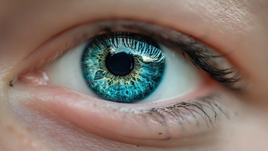 Naukowcy odkryli nowy kolor (zdj. podglądowe) /Shutterstock