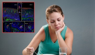 Naukowcy odkryli przyczynę długotrwałej utraty smaku po COVID-19