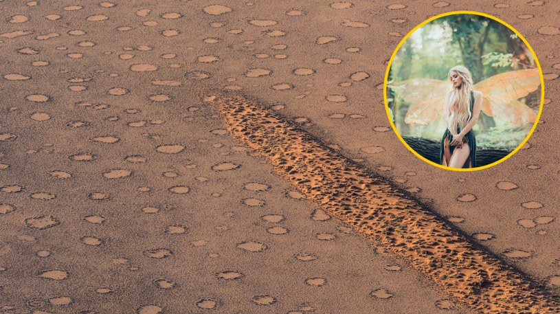 Naukowcy odkryli tajemnicę tajemniczych "kręgów wróżek" w Namibii. Jakie siły je stworzyły? /123RF/PICSEL