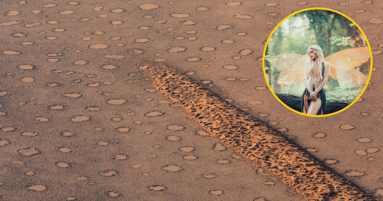 Naukowcy odkryli tajemnicę tajemniczych "kręgów wróżek" w Namibii. Jakie siły je stworzyły? /123RF/PICSEL