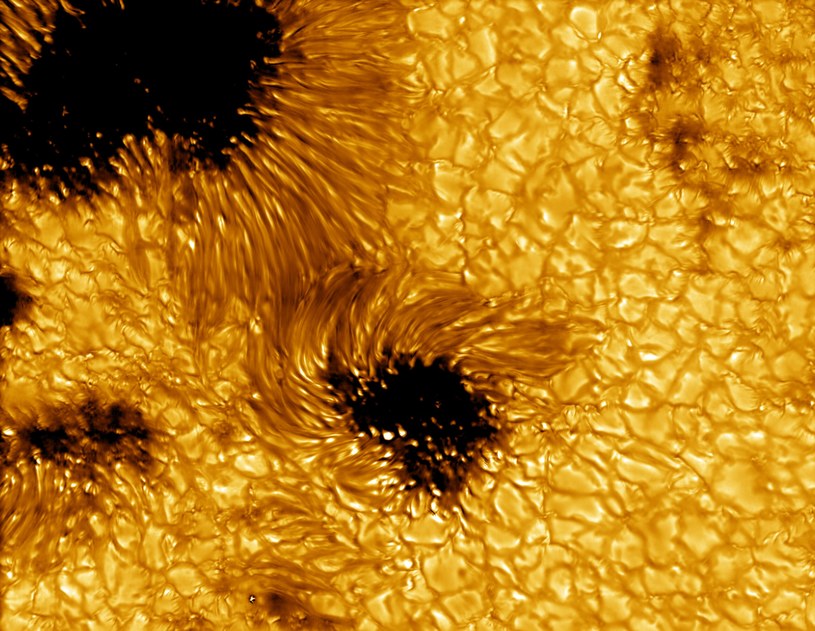 Naukowcy odkryli więcej plam słonecznych w czerwcu, niż się spodziewali /NSO/AURA/NSF /domena publiczna