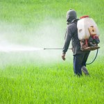 mikrobiom Naukowcy odkryli, że aż 168 popularnych substancji chemicznych nam szkodzi