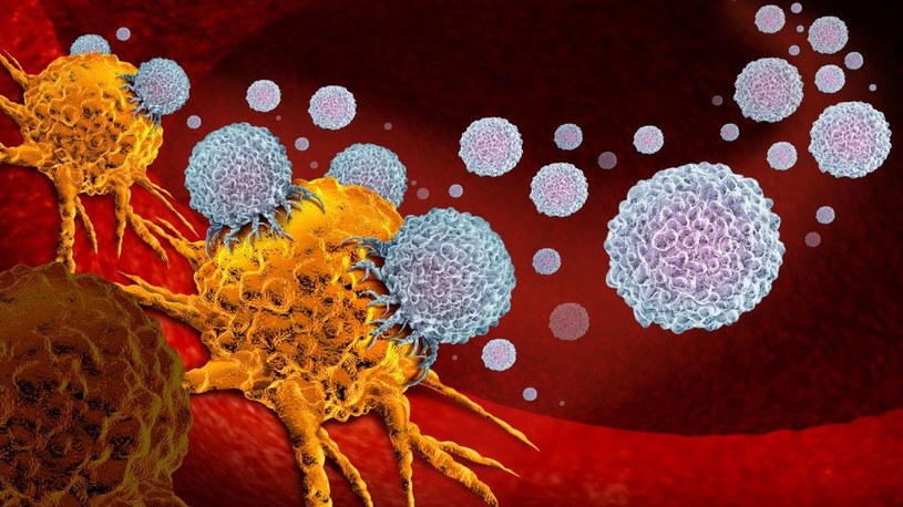 Naukowcy ogłaszają wielki przełom w terapiach zwalczających nowotwory /Geekweek